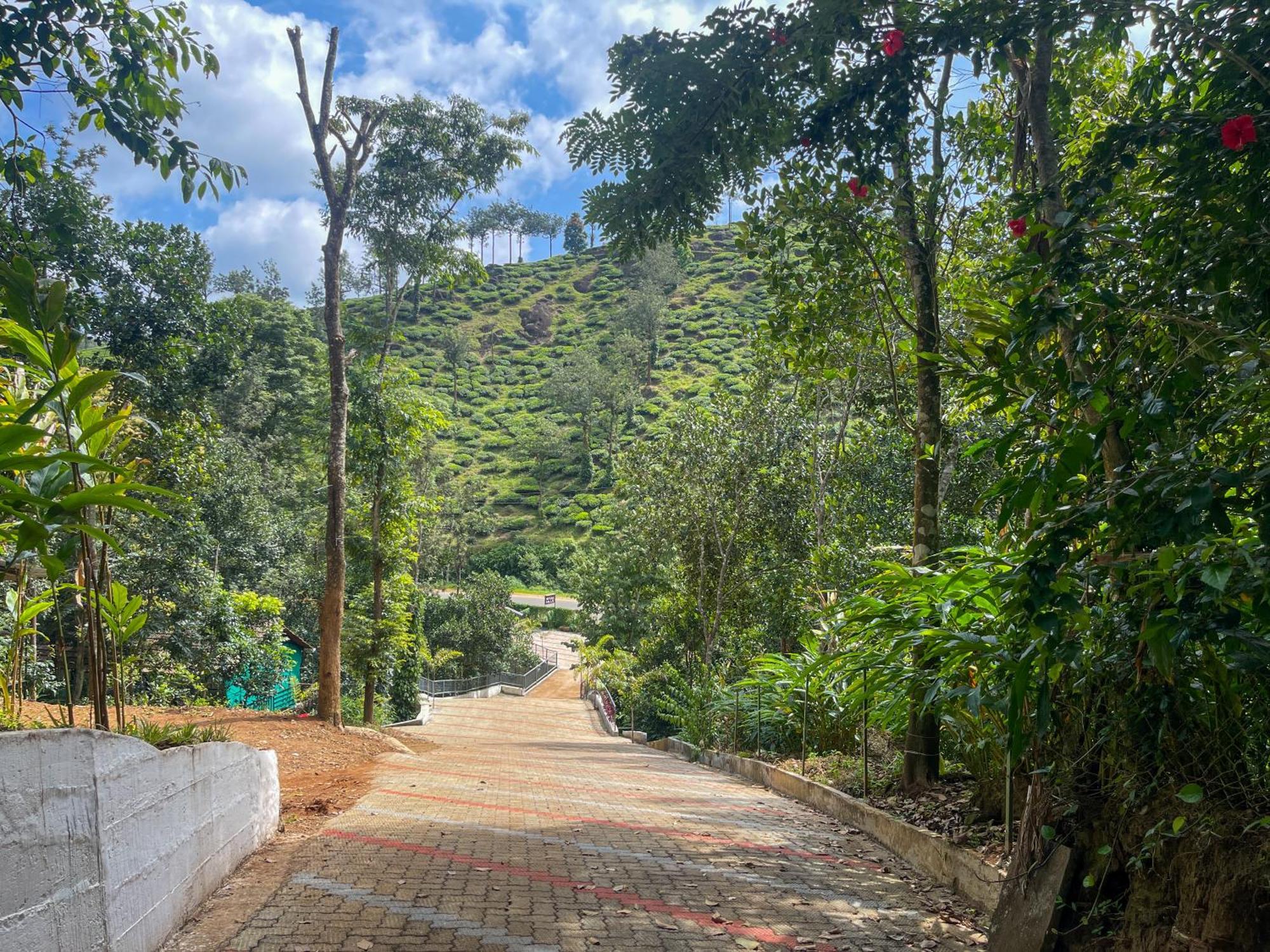 Snow Hills Resorts Thekkady Dış mekan fotoğraf