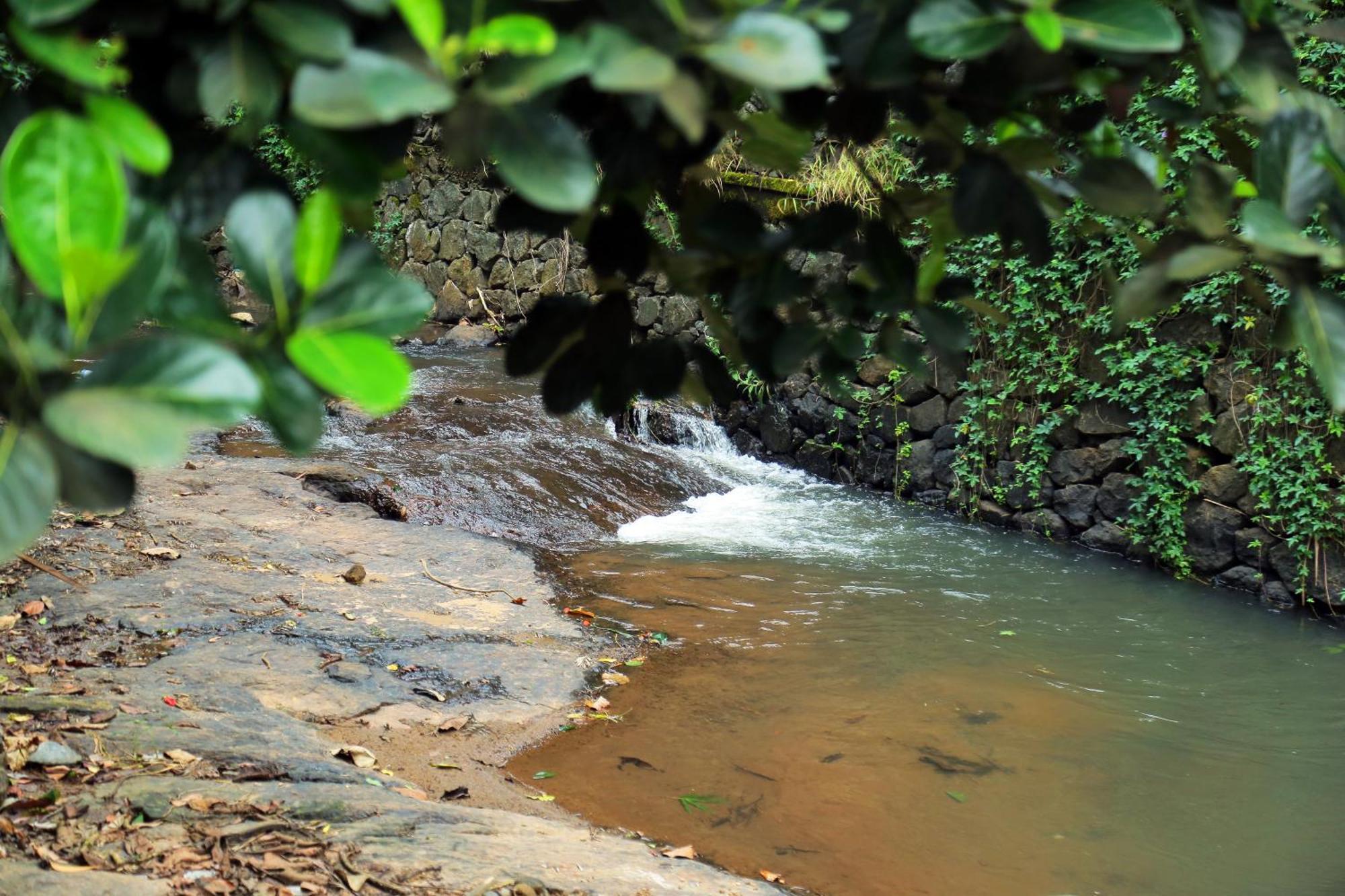 Snow Hills Resorts Thekkady Dış mekan fotoğraf
